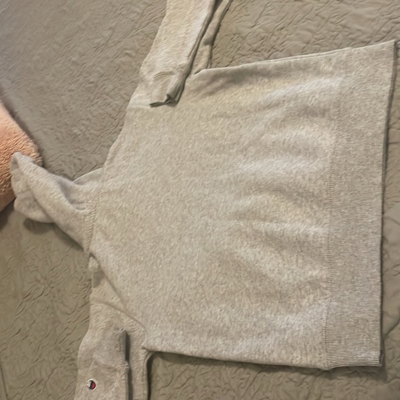 Gray Champion Hoodie - Picture 7 of 8